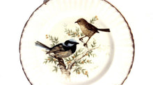 Set of 3 Royal Vale Bird Collectors Plates 10 1/2"
