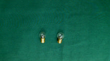 Pair of 1895 Bulbs