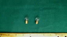 Pair of 1895 Bulbs