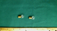 Pair of 1895 Bulbs