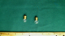Pair of 1895 Bulbs