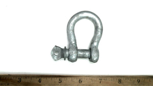 1/2" Shackle - Galvanized