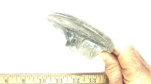 Martyr 76214-5 Trim Tab - Used