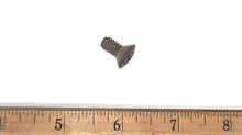 Johnson Evinrude OMC 306024 Screw