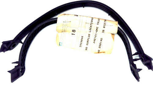 GM 3909800 - Pkg of 2 Seals