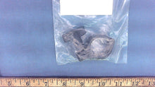 Mercury 54-12799A3 Clamp