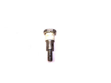 Johnson Evinrude OMC 319415 Screw & 311015 Bushing - Used (DB)